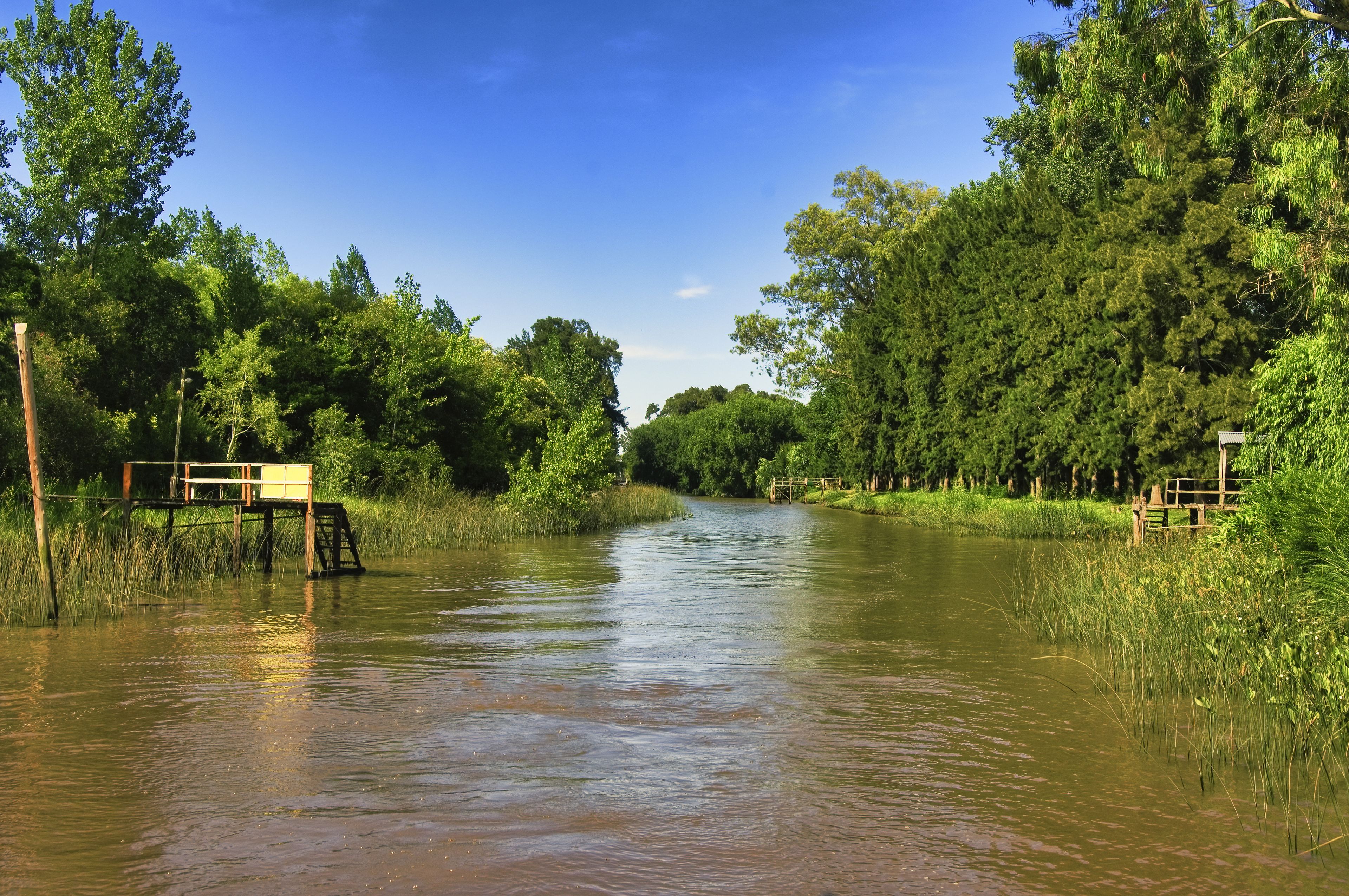 Delta of the Parana River, Channel in Tigre, Rio las Canas, Tigre, San Fernando, Buenos Aires Province, Argentina