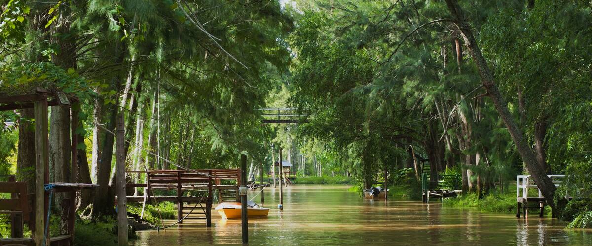 Une forêt inondée avec un pont en bois et un bateau jaune.