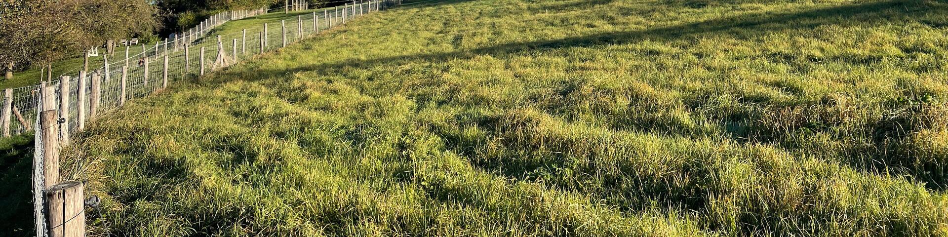 Scenery around Vijlen