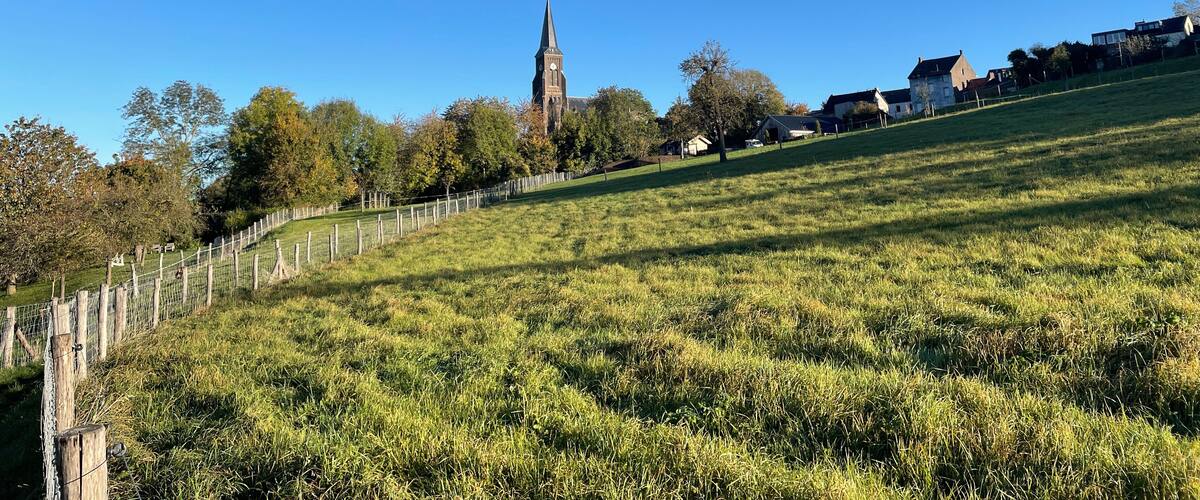 A grassy hill with a church steeple in the background.
