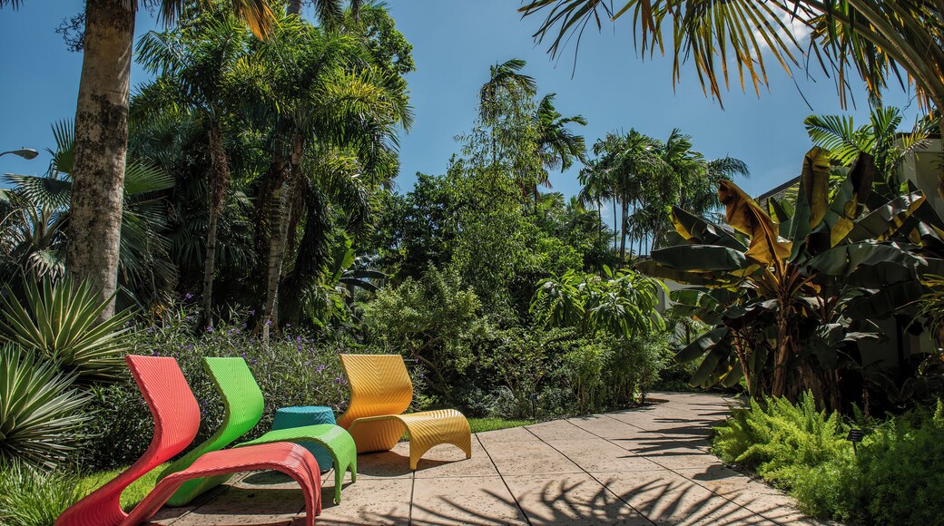 Miami strand botaniske hage