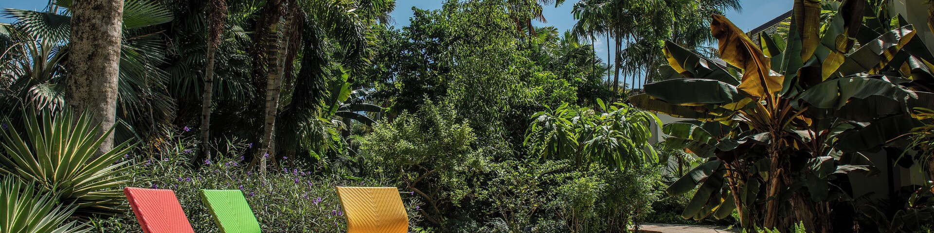 MiamiBeach_MiamiBeachBotanicalGarden_6202224-0017