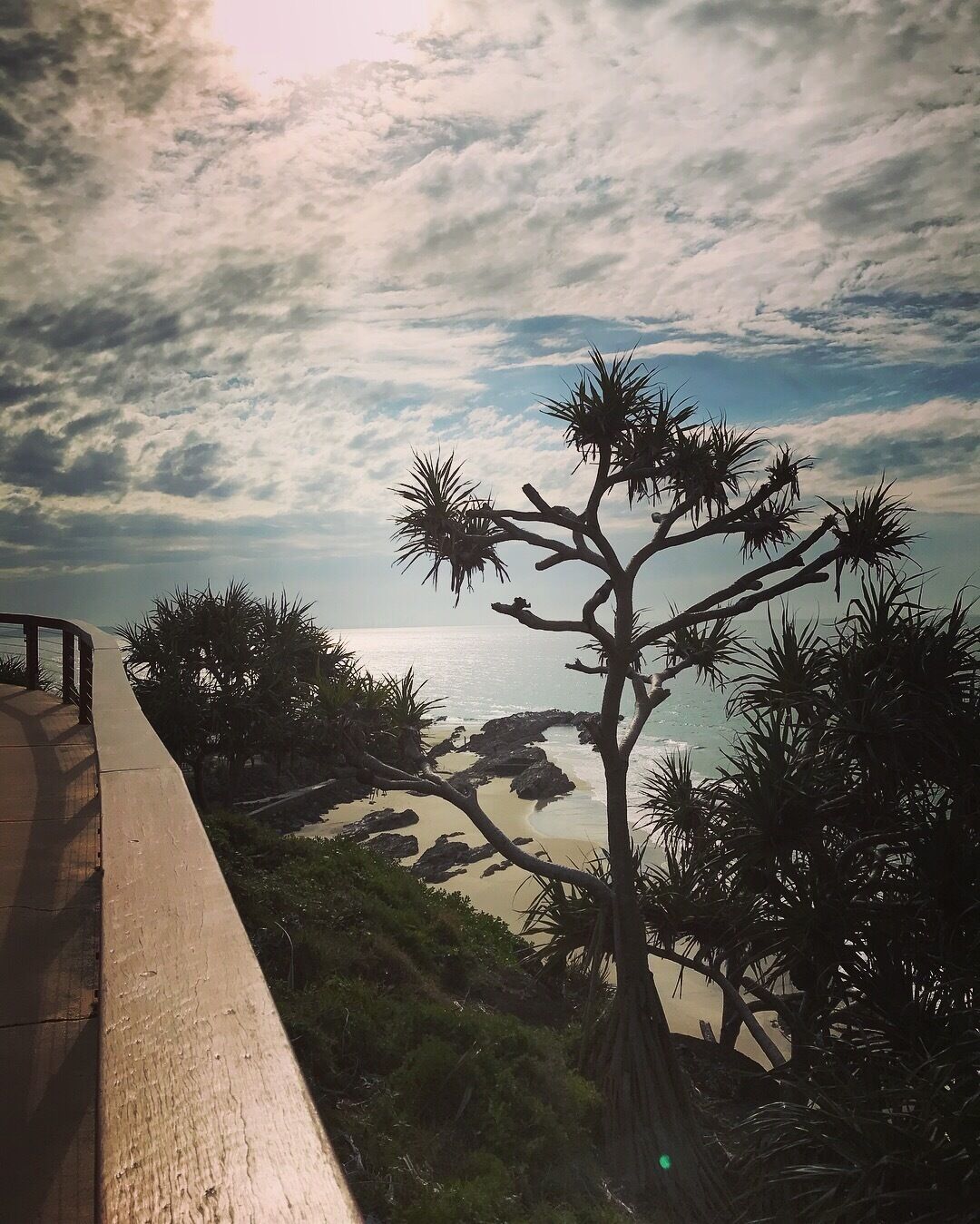Point Danger, the perfect spot for whale watching in winter and if you’re lucky, maybe dolphins as well.