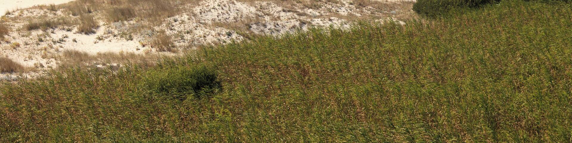 Lighthouse and beach of Lariño, Carnota, Galicia (Spain)