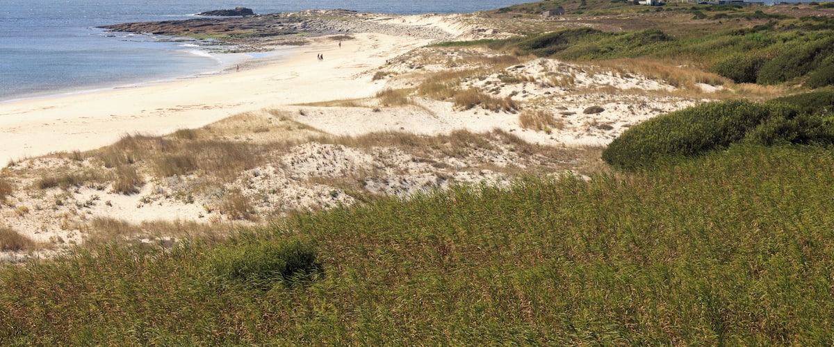 A coastal landscape with a sandy beach, grassy dunes, and a lighthouse on a hill.