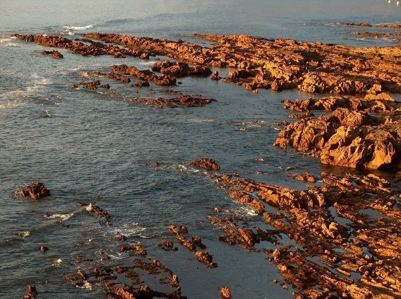 A rocky shoreline with waves crashing against the rocks.