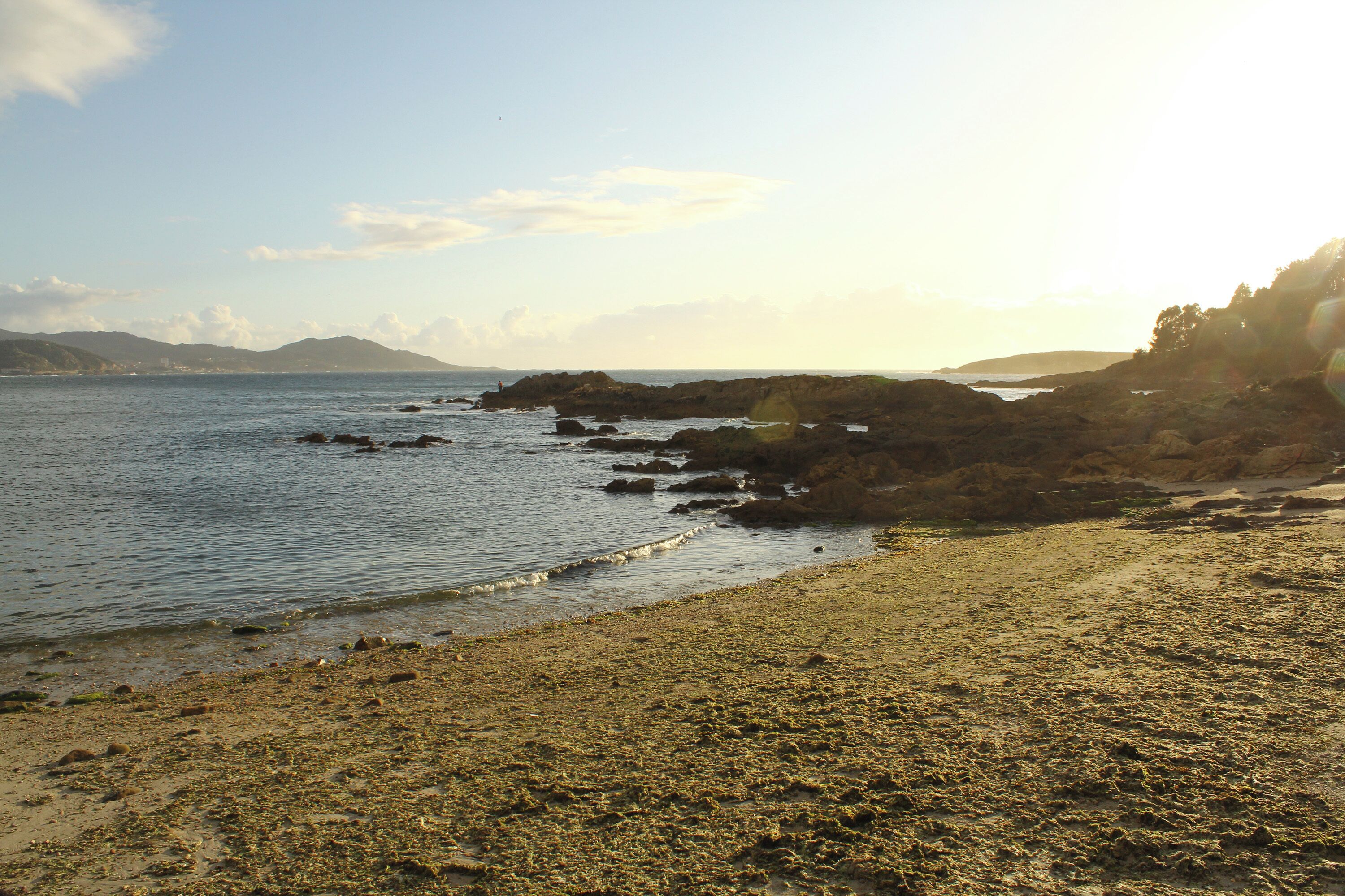 A rocky shoreline with calm water, distant mountains, and a clear sky.