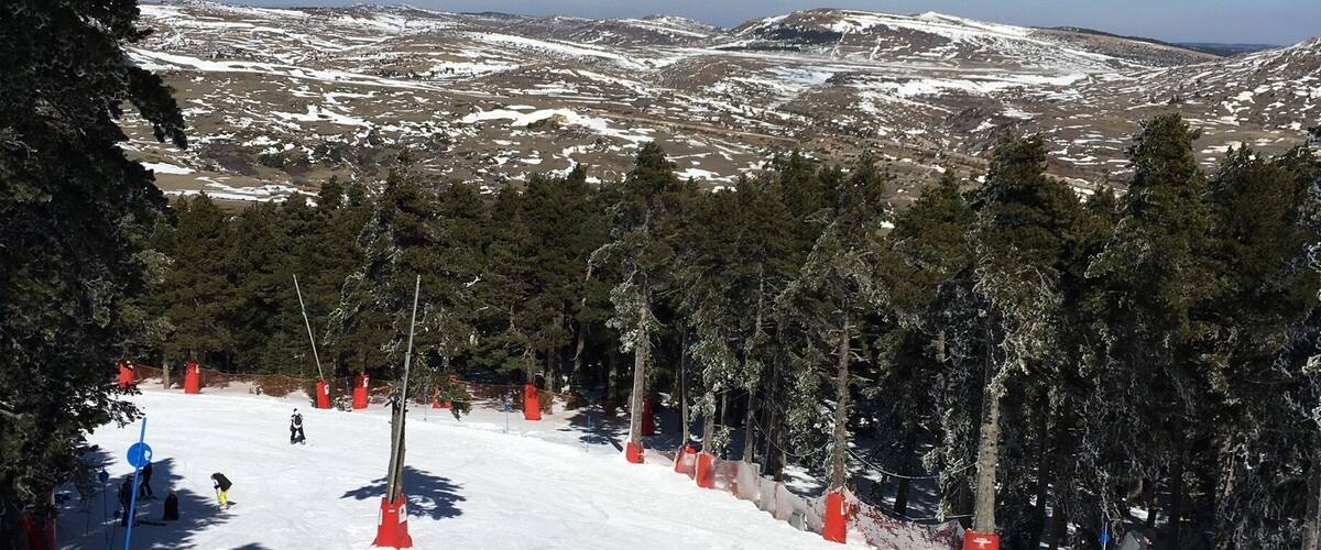 A snowy ski slope with red barriers and trees.