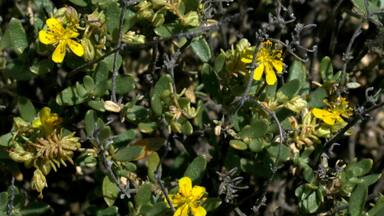 Campo de Belchite, Aragon, Spain