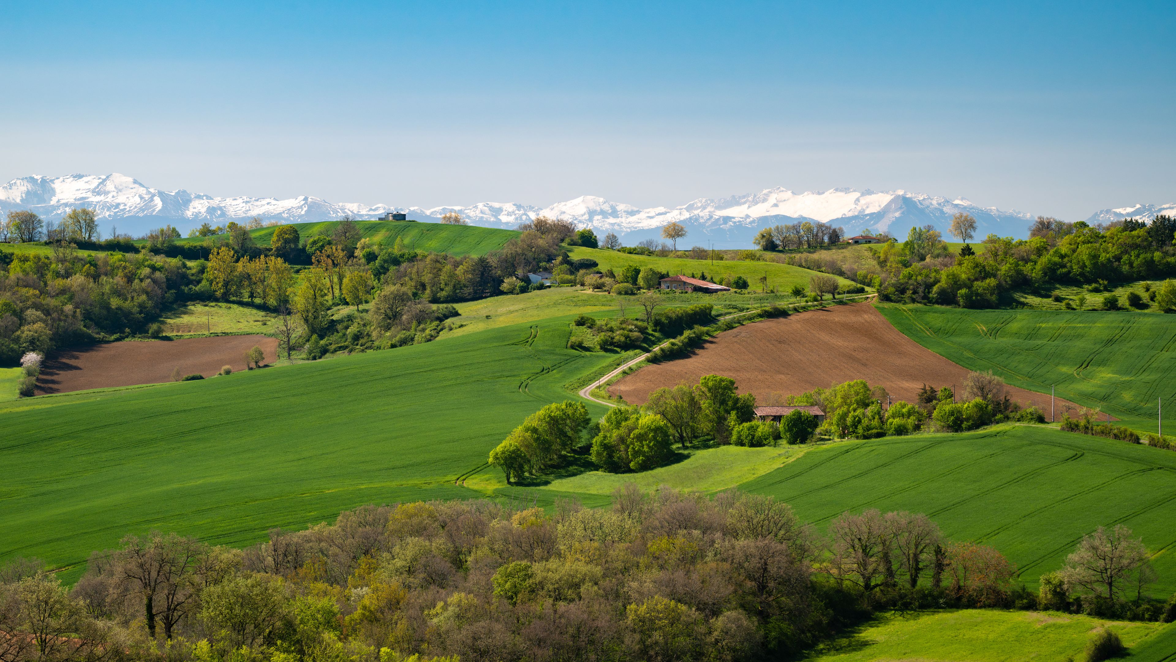 Une vallée verdoyante et luxuriante, parsemée de collines douces, d’arbres isolés et dominée par des montagnes lointaines aux sommets enneigés.