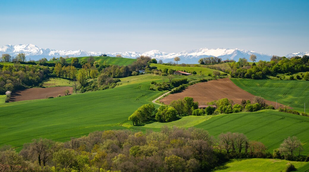 Une vallée verdoyante et luxuriante, parsemée de collines douces, d’arbres isolés et dominée par des montagnes lointaines aux sommets enneigés.