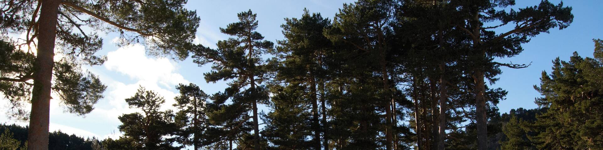 Picos de Urbión, península ibérica.