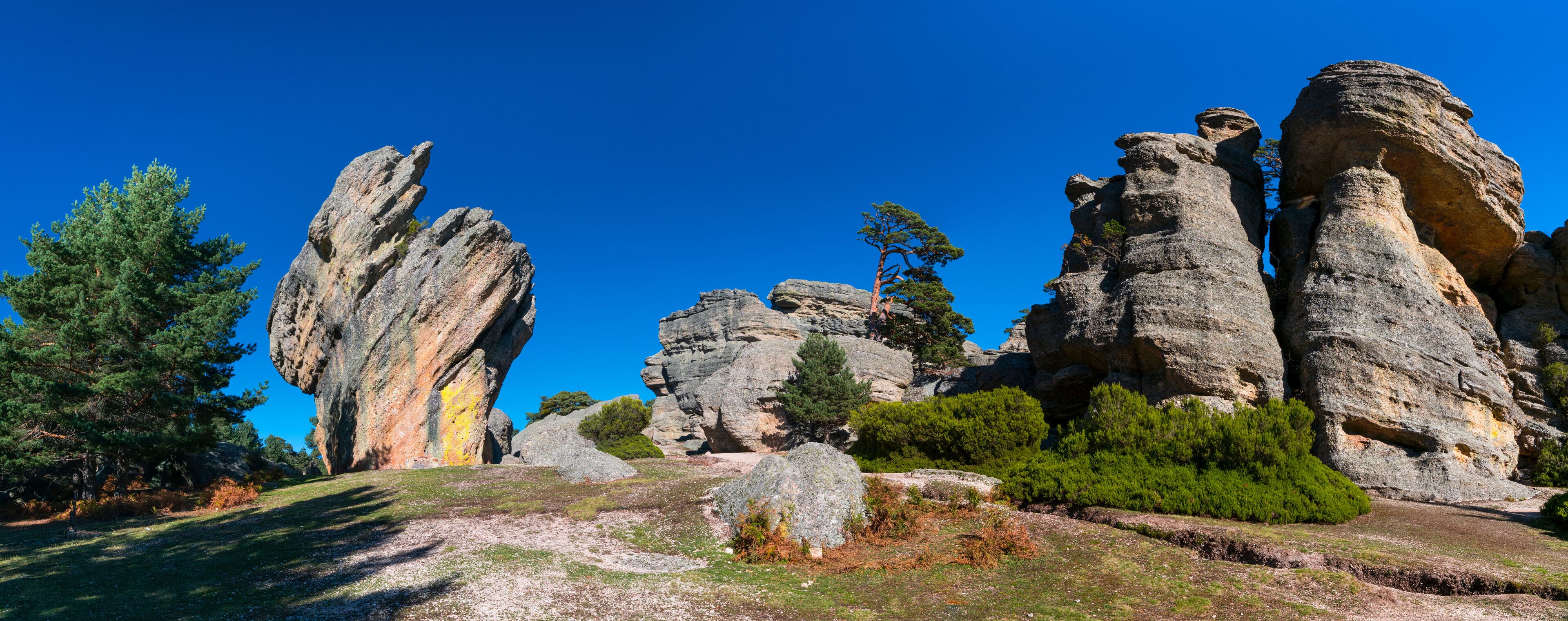 A landscape with prominent rock formations and scattered trees.
