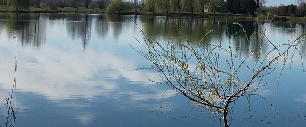 A calm lake with reflections of trees and mountains in the background.