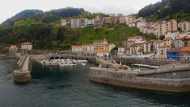Un pueblo costero con un puerto, barcos y edificios en una colina.