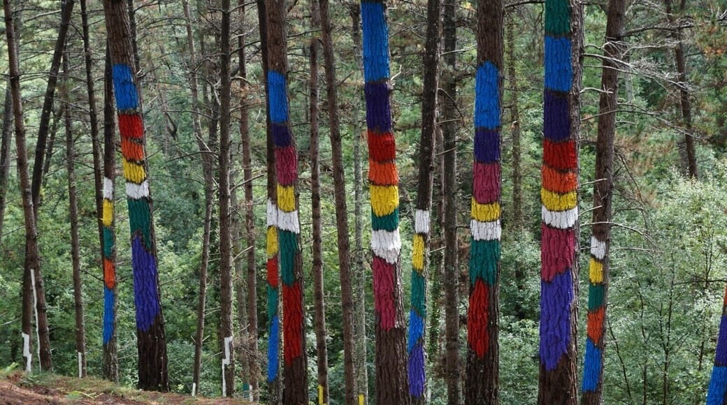 Wonderful painted forest, near Bilbao.