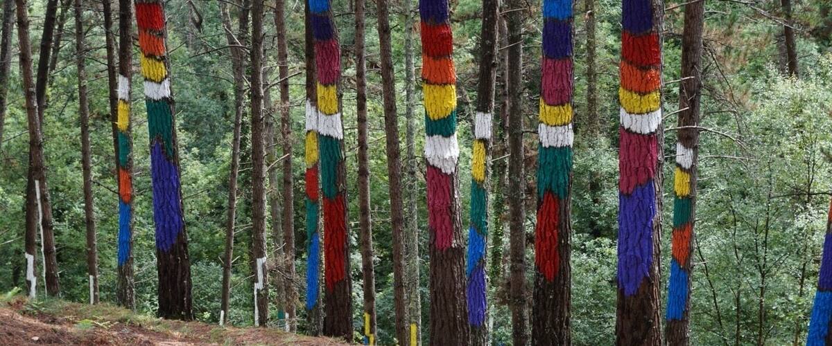 A forest with trees painted in colorful stripes.