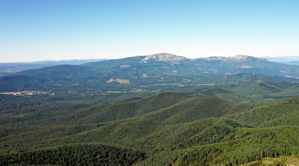Forest in area of Aramaio municipality in Spain. View from a hill of Anboto mountain. Basque Country, Spain.