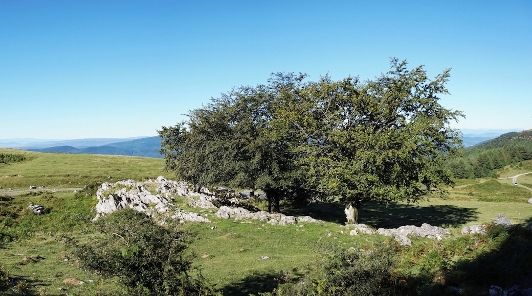 Urkiola Natural Park. Basque Country, Spain.