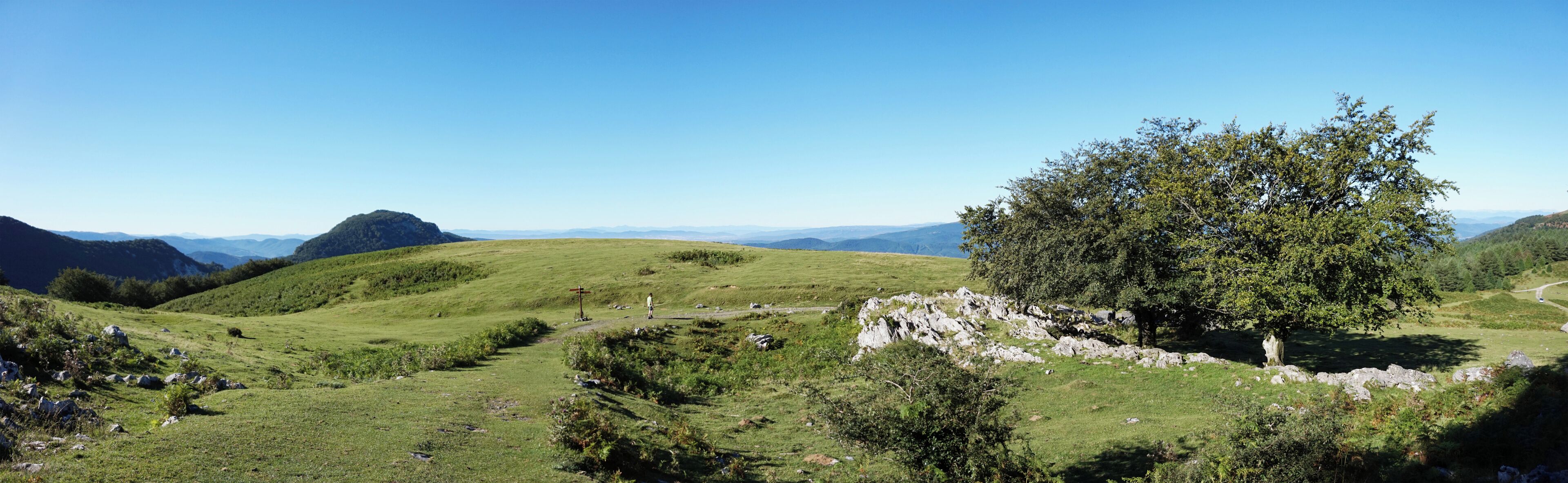 A grassy hillside with a large tree, rocky outcrops, and distant mountains under a clear blue sky.