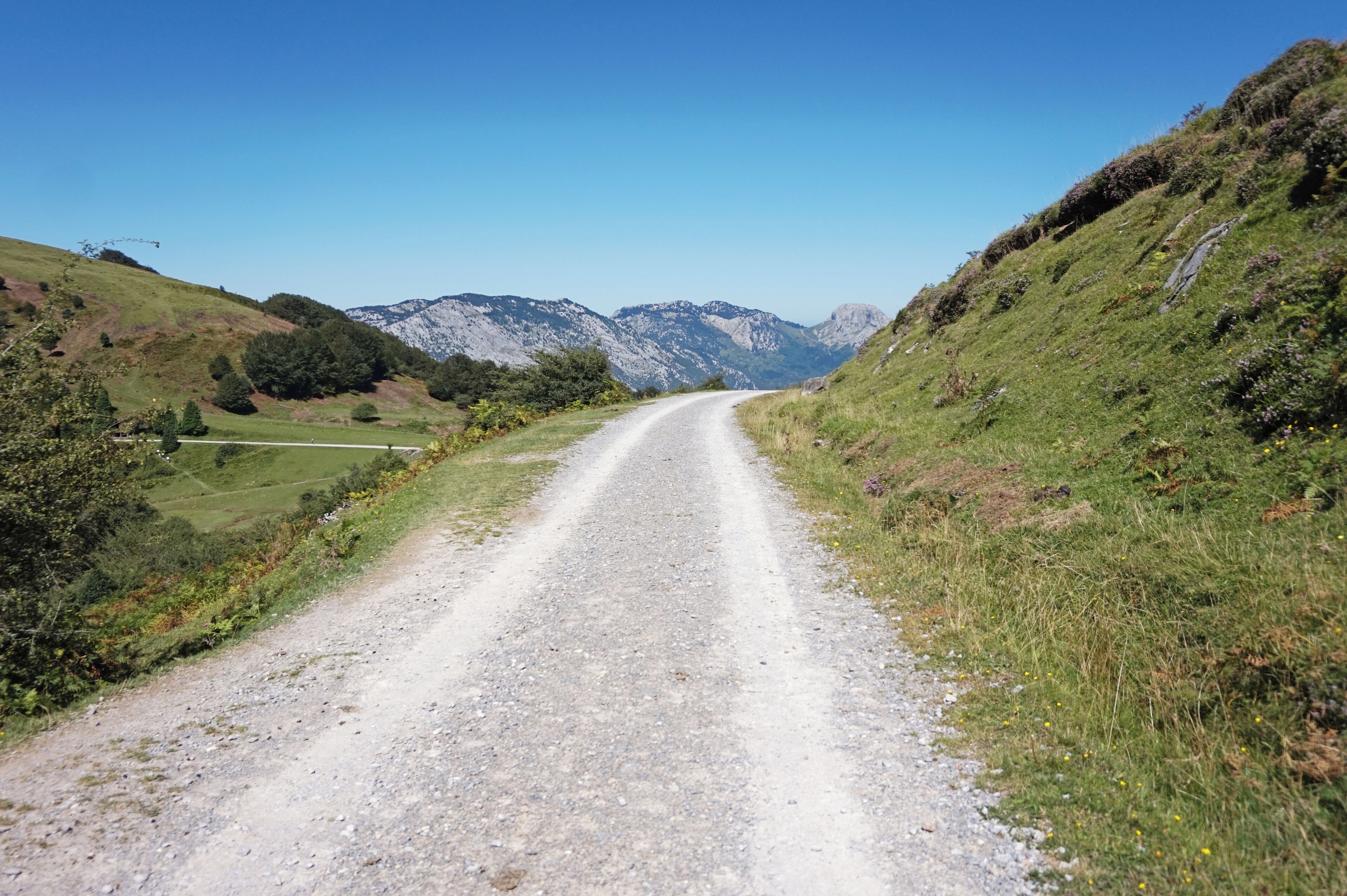 Una strada sterrata serpeggia attraverso un paesaggio collinare con campi verdi e montagne in lontananza.