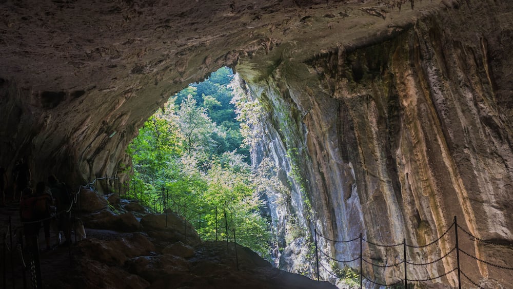 Eingang einer Höhle mit Blick auf einen Wald.