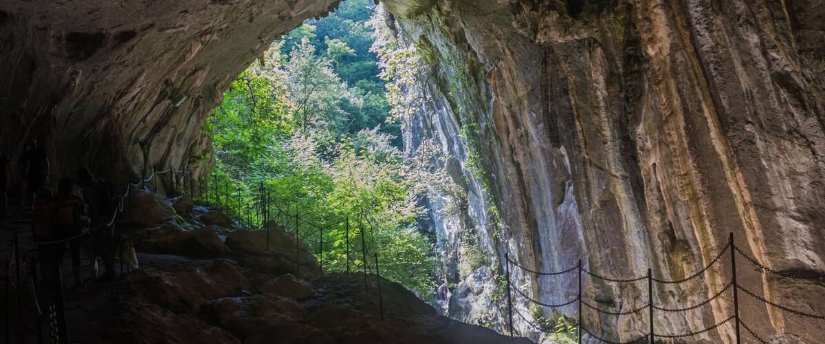 A cave entrance with a view of a forest.
