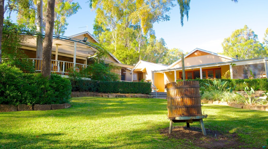 Viñedo Briar Ridge ofreciendo un parque