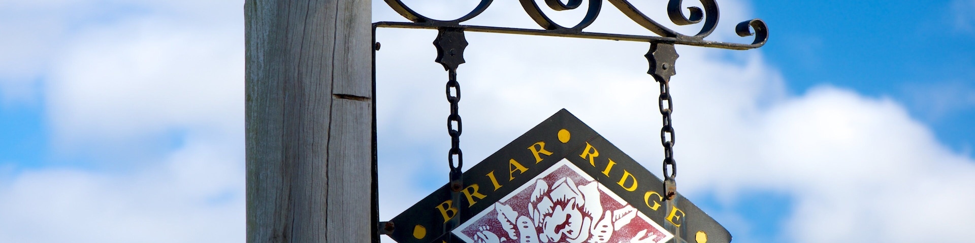 Briar Ridge Vineyard featuring signage