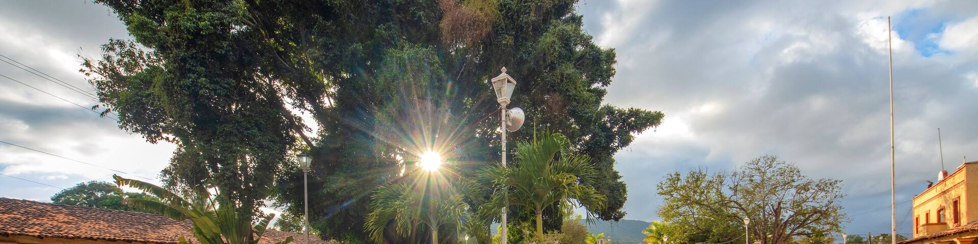 The big tree at El Tuito town main plaza