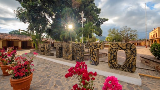 The big tree at El Tuito town main plaza