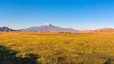 Aerial view of Mount Ararat, Agri Dagi. The highest mountain in Turkey on the border between the region of Agri and Igdir. The resting place of Noah's Ark. City of Dogubayazit in the background
