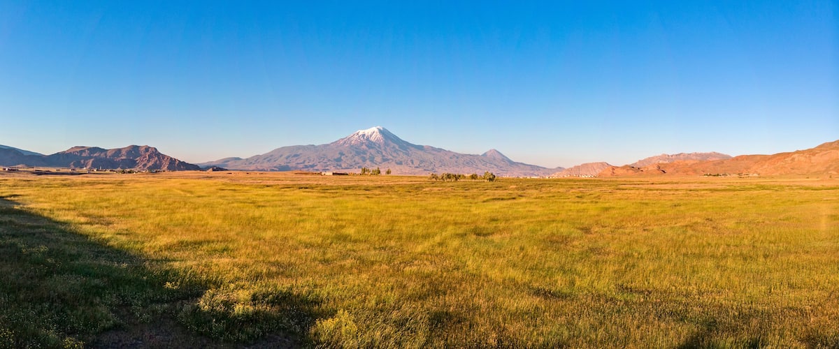A grassy field with a mountain in the background.