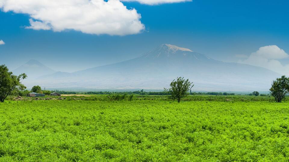 Agricultural villages near Mount Ararat. Green grain field and mountain landscape. Igdir -Turkey