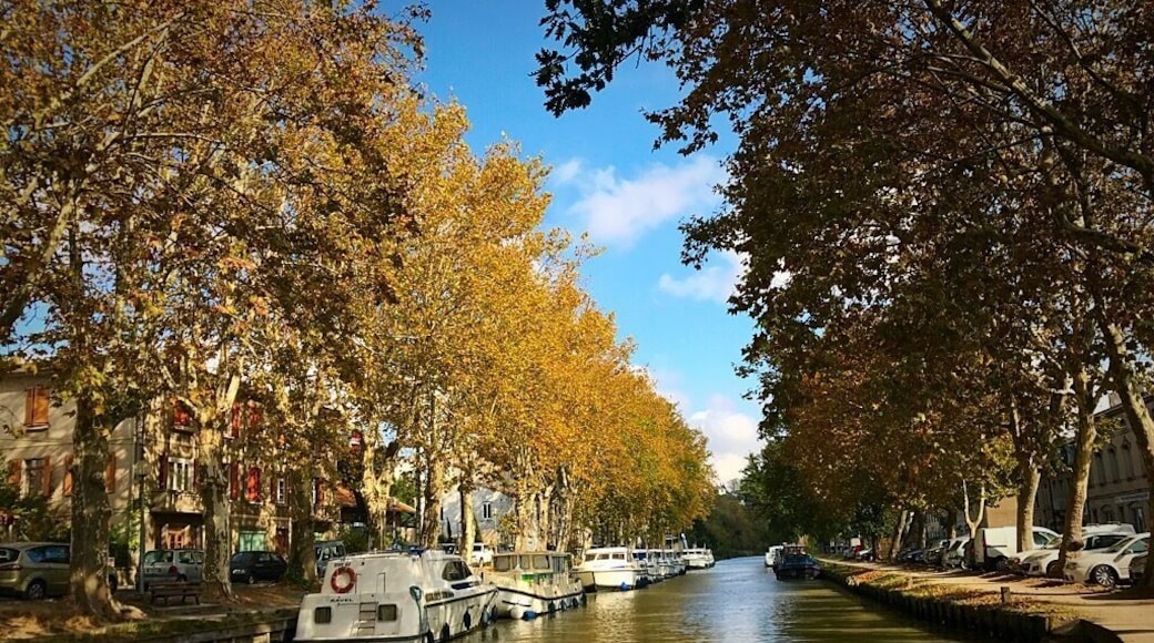 Canal du Midi on a glorious Autumnal day