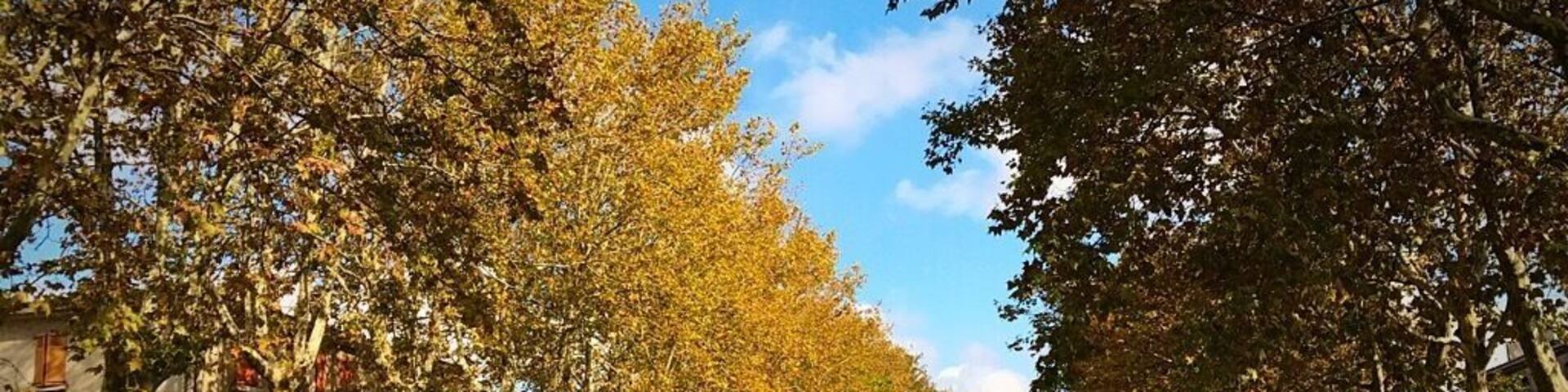 Canal du Midi on a glorious Autumnal day