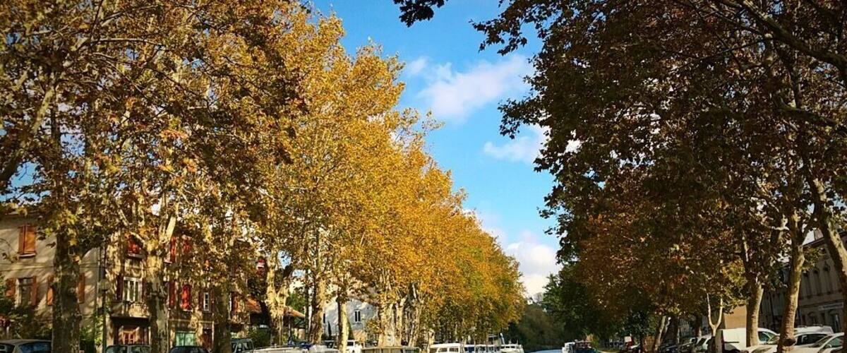 A canal lined with autumn-colored trees and boats docked along the water.