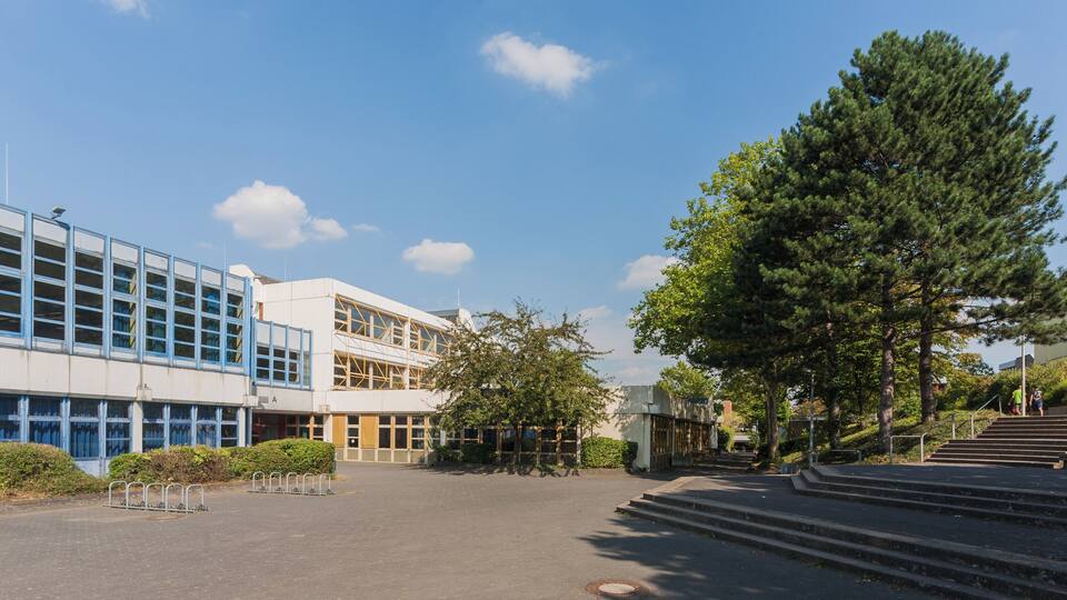 A modern building with blue and white architecture, a large tree, and a set of stairs leading up to a building.