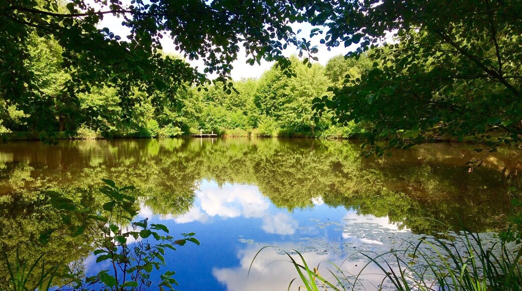Deep in rural France.