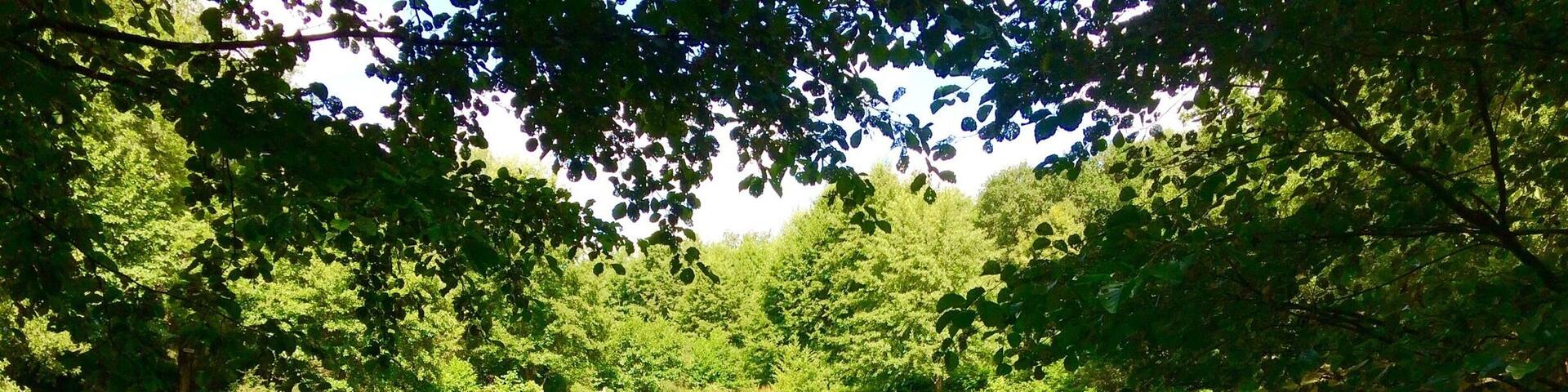 Deep in rural France.