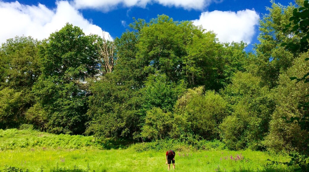 Hunting for grasshoppers! Very cool campsite with lovely lake to swim in, very relaxed vibe and masses of space.