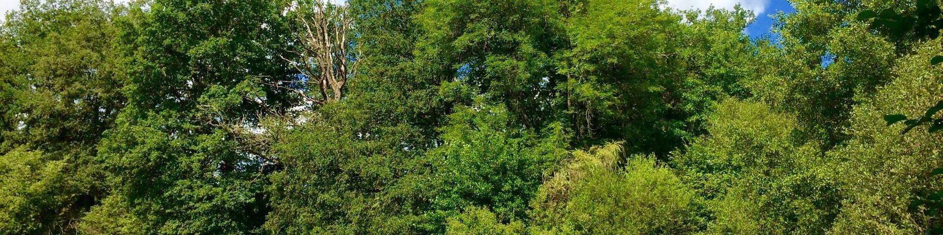 Hunting for grasshoppers! Very cool campsite with lovely lake to swim in, very relaxed vibe and masses of space.