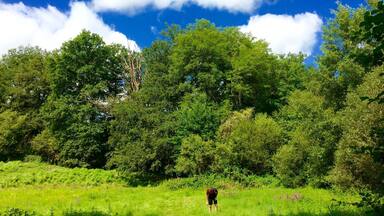 Hunting for grasshoppers! Very cool campsite with lovely lake to swim in, very relaxed vibe and masses of space.