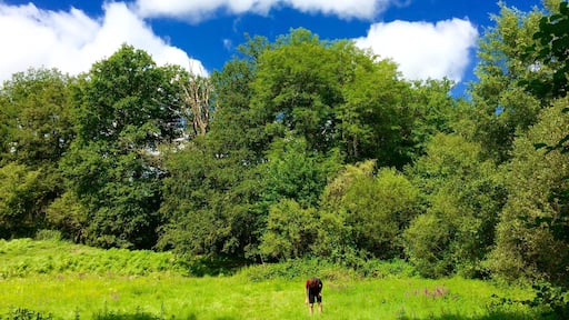 Hunting for grasshoppers! Very cool campsite with lovely lake to swim in, very relaxed vibe and masses of space.