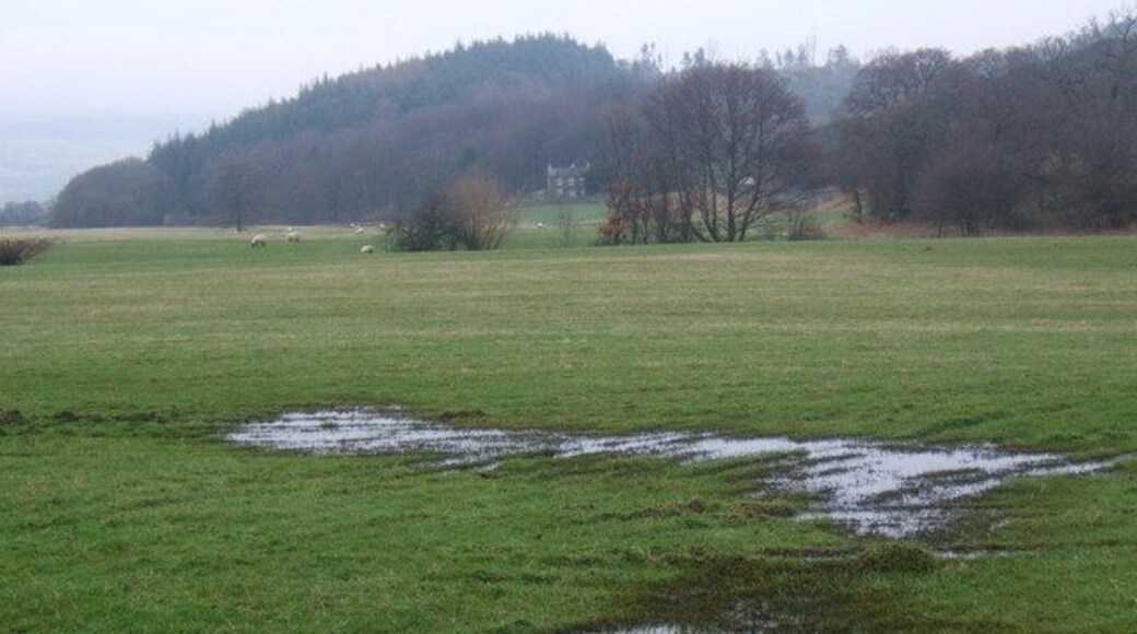 Flat fields by Kirkby Pool The A595 takes a slightly elevated and very twisty route above the low lying fields. Eventually it turns west across the wet ground a bit further inland.