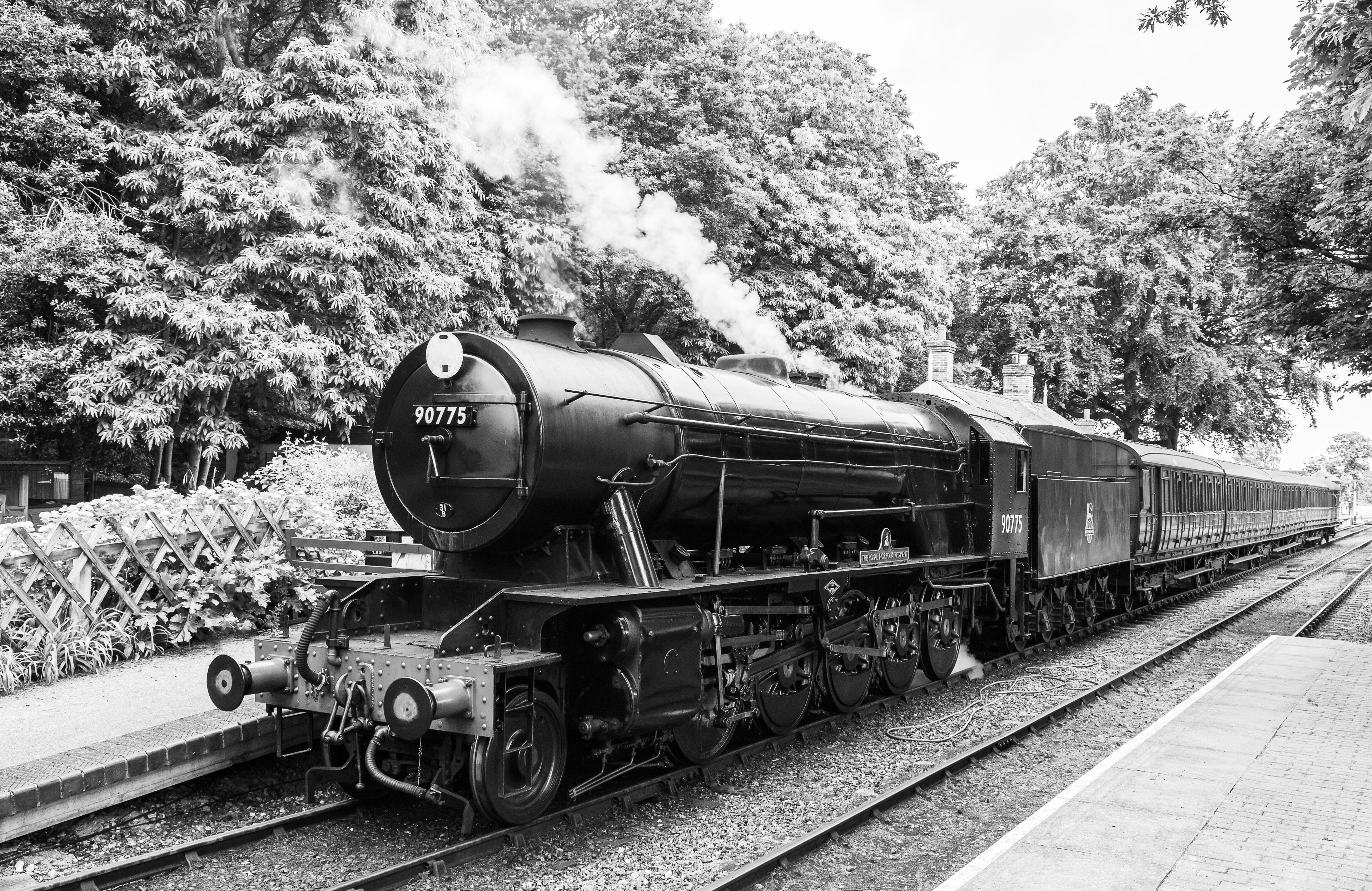 A steam locomotive numbered 90775 on a railway track surrounded by trees.
