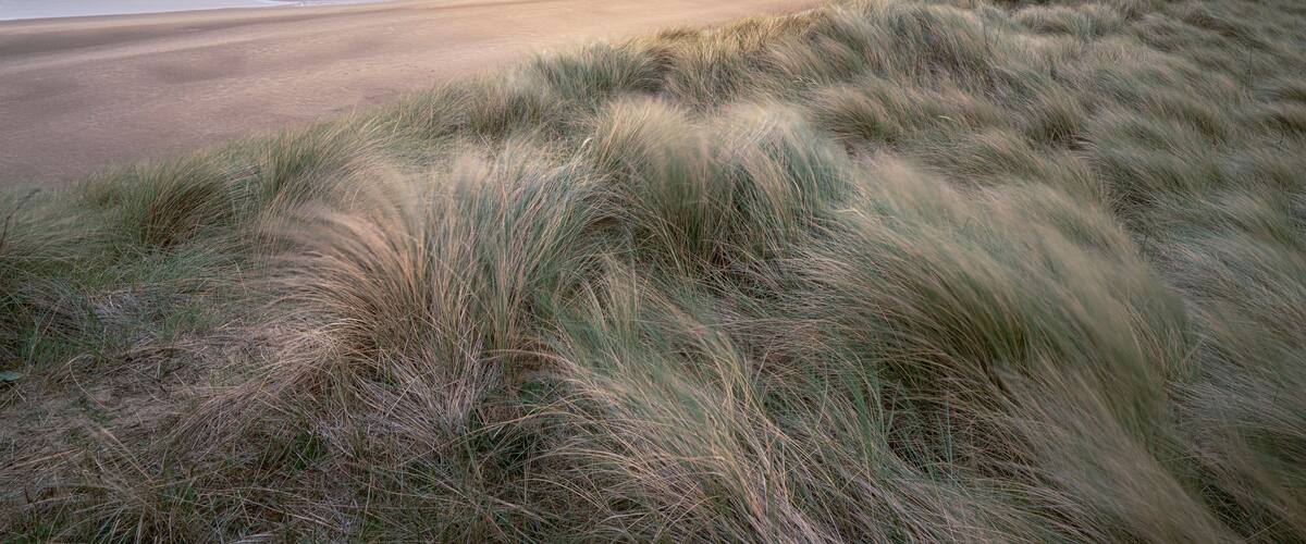 A beach with sand dunes and a sunset over the ocean.