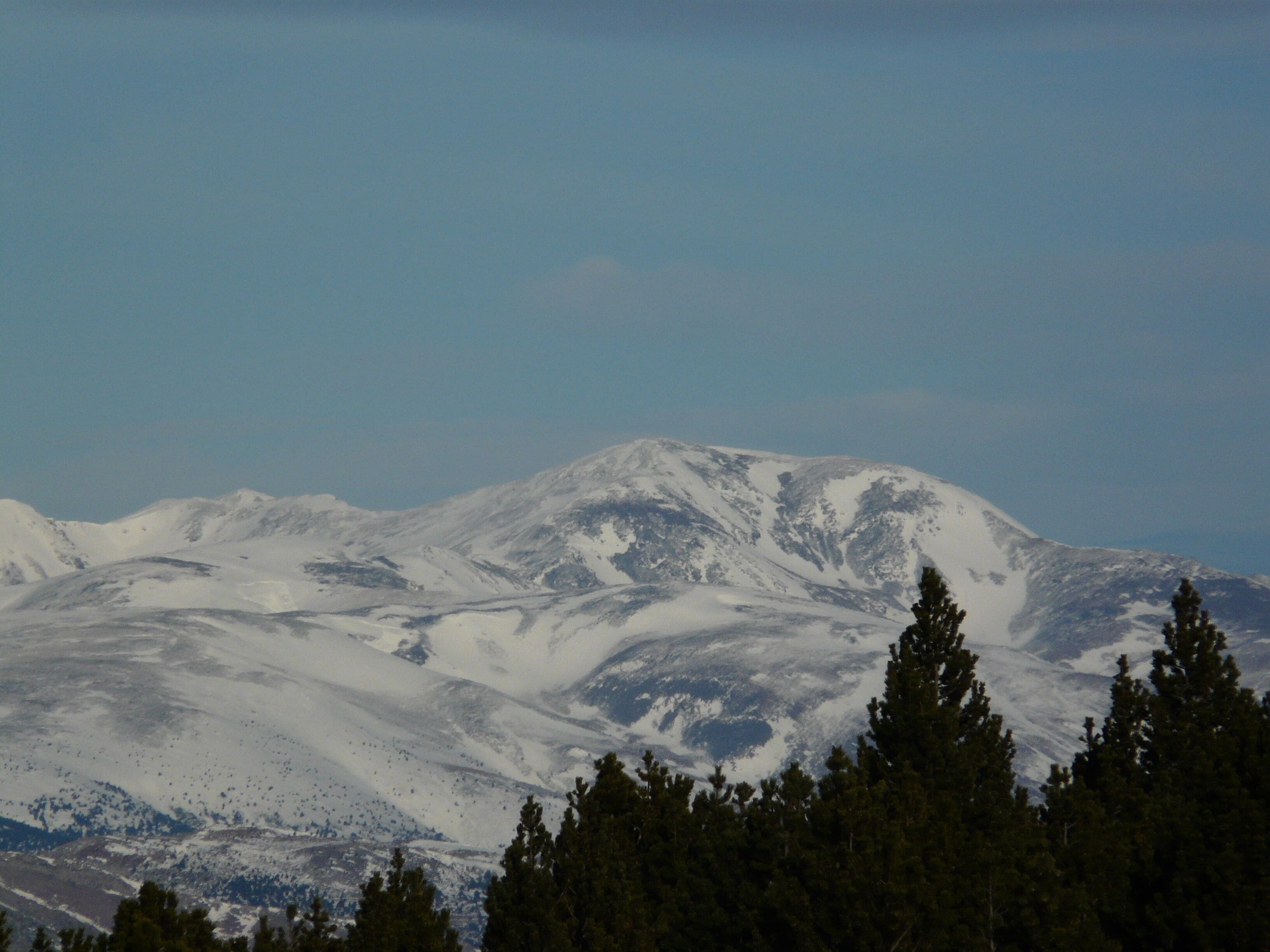 A snow-covered mountain range with dense coniferous forest in the foreground.
