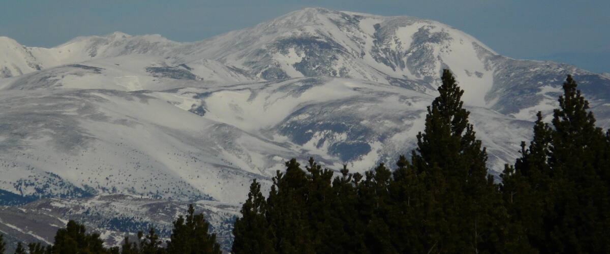 A snow-covered mountain range with dense coniferous forest in the foreground.