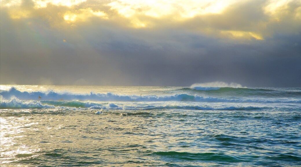 Blue Bay montrant surf et baie ou port